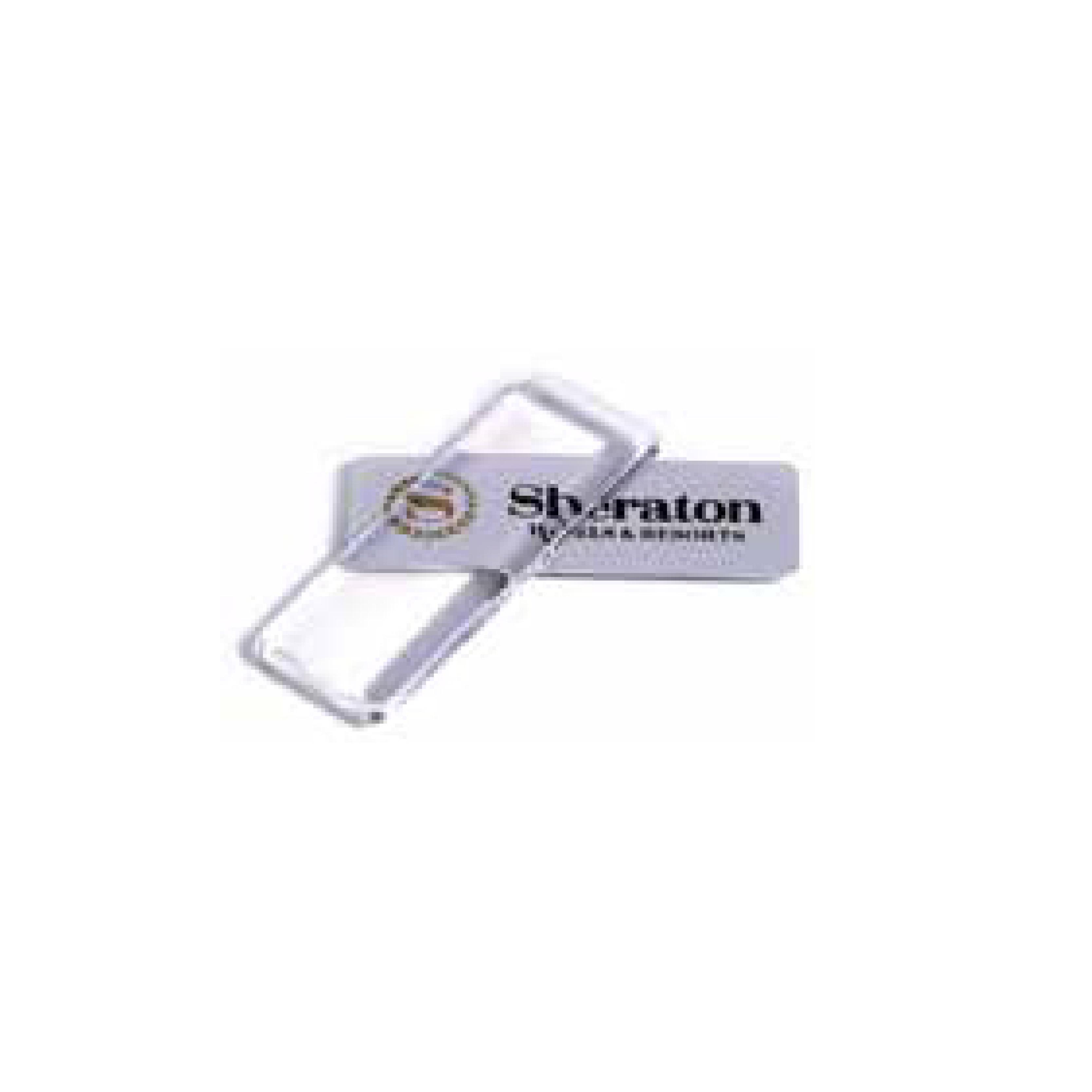 Brushed Silver Insert Plastic Badge with Lens Cover With Logo